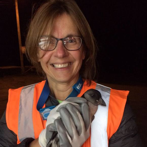 Meet your Posher, Dawn - Picture 1 of 1